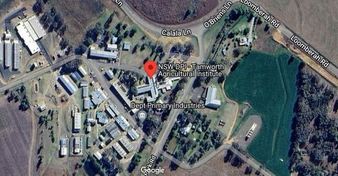 Tamworth Agriculture Institute bird view